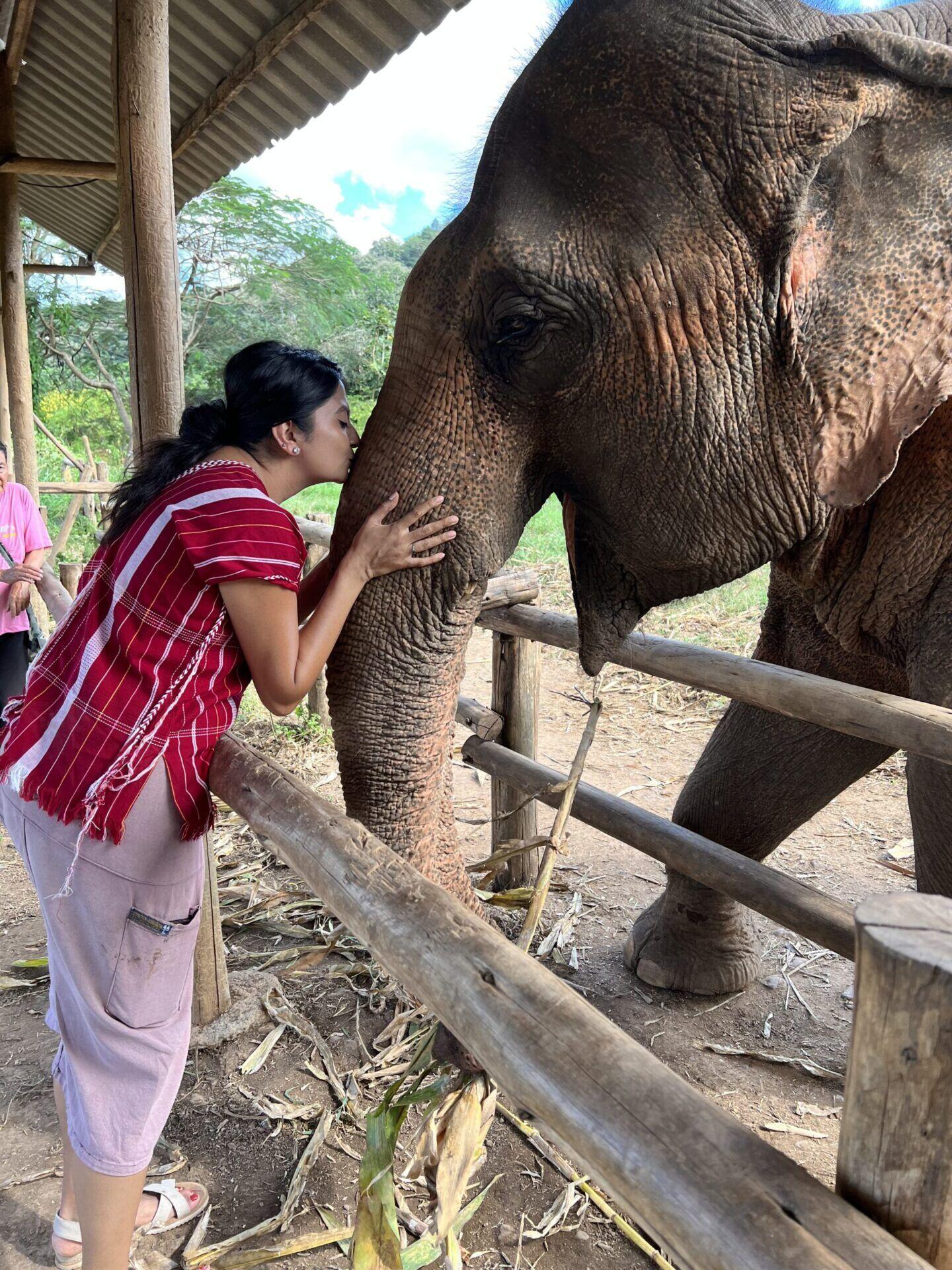 Elephant Sanctuaries in bangkok