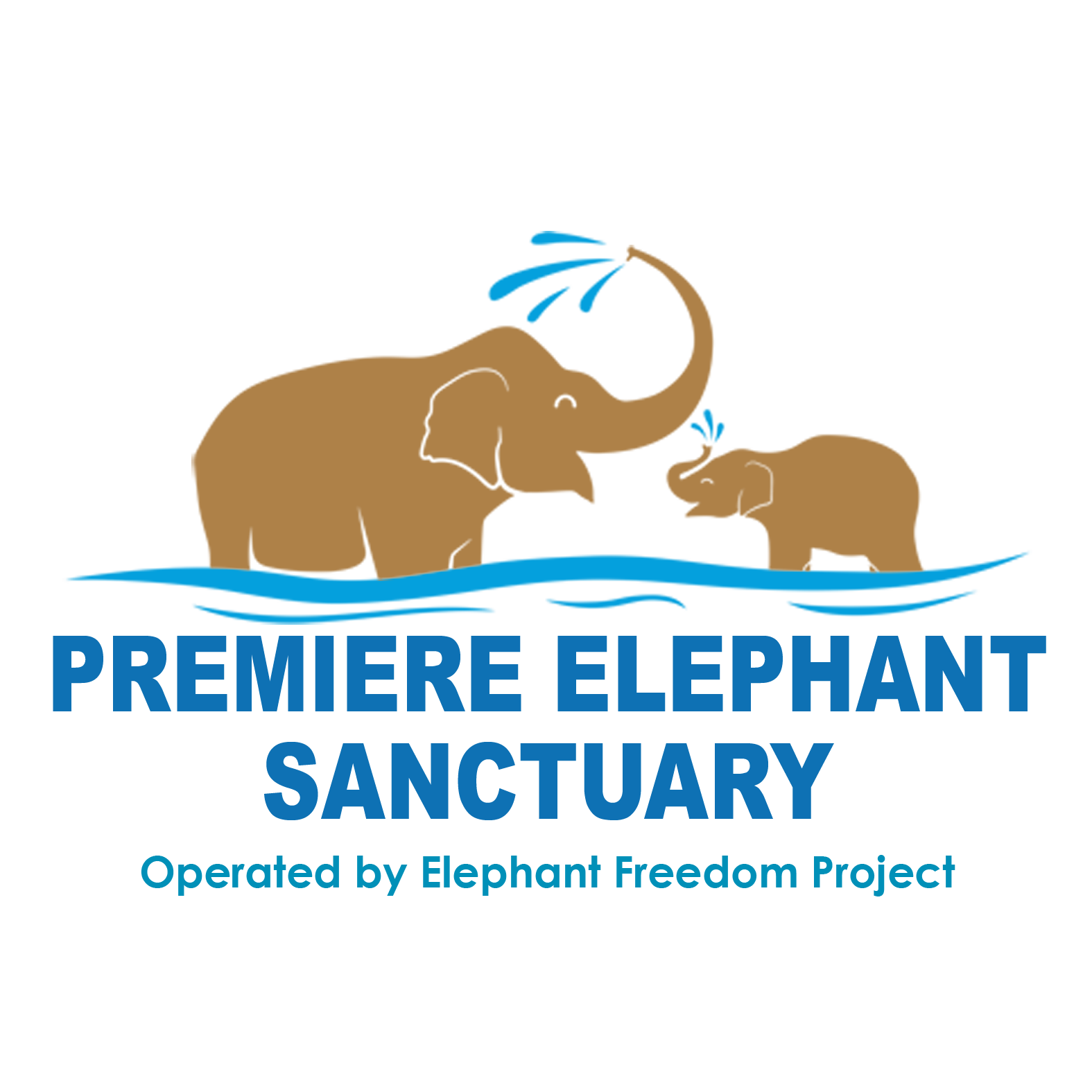 Elephant Sanctuary Volunteer Thailand